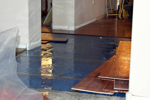 Professional Basement Flood Cleanup technician working in Warren, OR